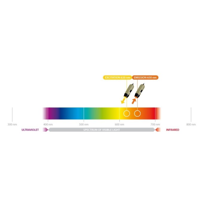 Microscop fluorescenta cu iluminare la 620 nm si filtru camera la 650 nm